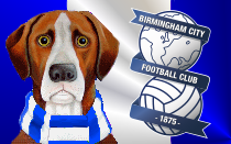 Birmingham News Hound